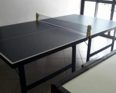 tenis-de-mesa02